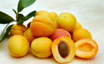 Na co są dobre suszone morele? Na co są dobre suszone morele?