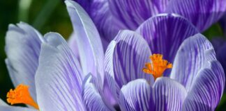 Co zamiast tuszu do pieczątki?