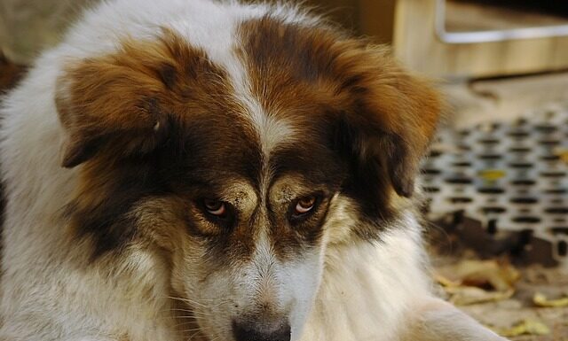 Co obniży wyrzut insuliny? Co obniży wyrzut insuliny?