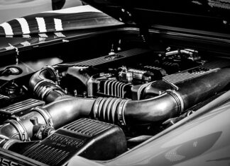 Czy lampa UV jest szkodliwa dla ryb?