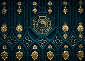 Jaka sucha karma dla psa jest najlepsza?