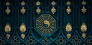 Ile mięsa powinna mieć Sucha karma dla kota?