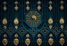 Czy sucha karma może być zdrowa? Czy sucha karma może być zdrowa?