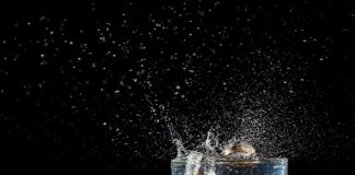 Czy można iść na wesele w samej kamizelce?